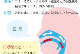 鼻呼吸と口呼吸