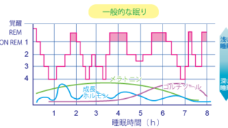 レム睡眠とノンレム睡眠
