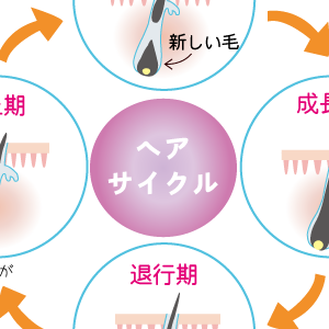 抜け毛、頭皮のかゆみ